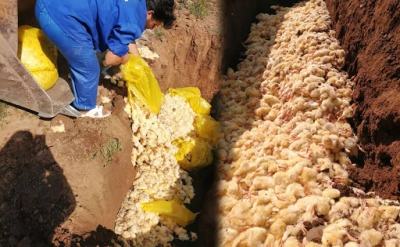 چه کسی