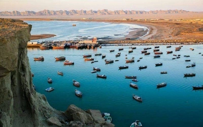 تاکید