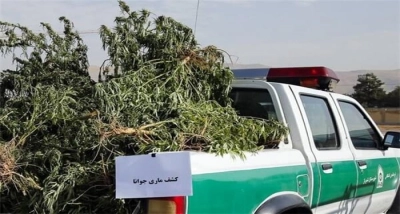 این مخ