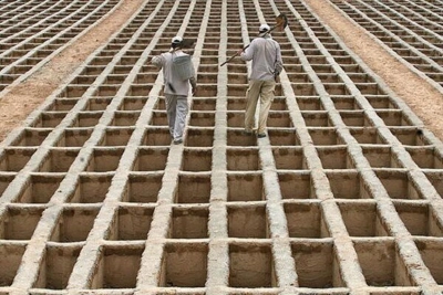 نرخ مر