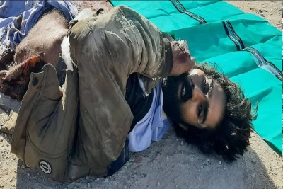 هلاکت 