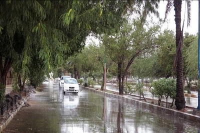 سازمان