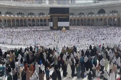 فیلم l