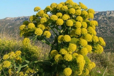 سرزمین