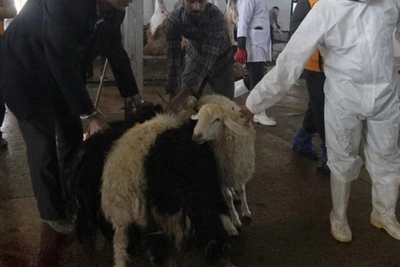 نکات ب