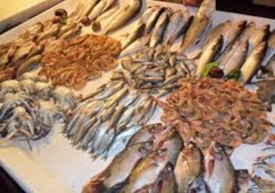 صادرات