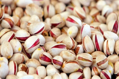 رشد 15