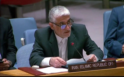 نمایند
