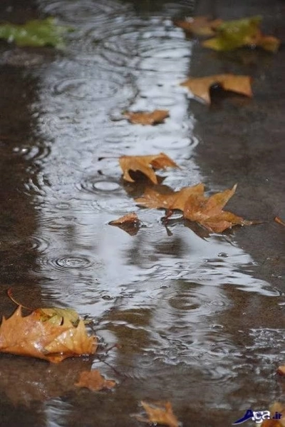 برف در