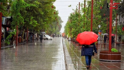 چترها 