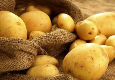 مجوز و