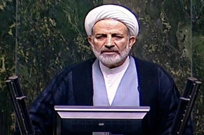 نمایند