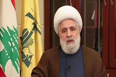 نمایند