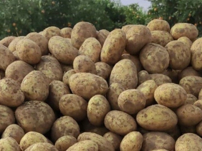 واردات
