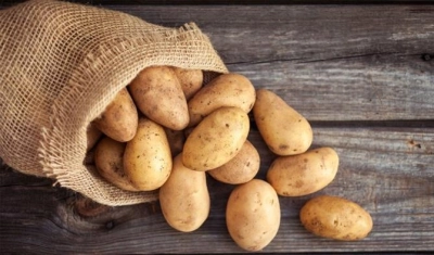 قیمت س